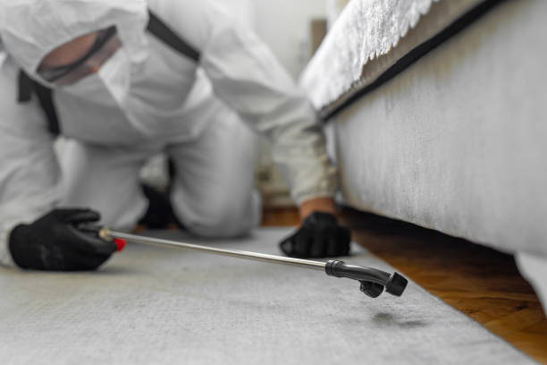 Professional Bed Bug Control technician working in Midway, UT