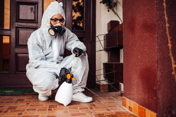 Reliable Bed Bug Control contractor in Midway, UT by Nex Pest Control